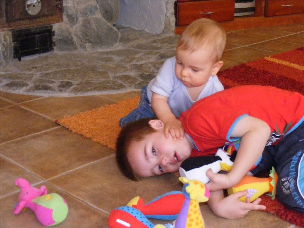 av-1.jpg Ati-Veni birko picture by dius29